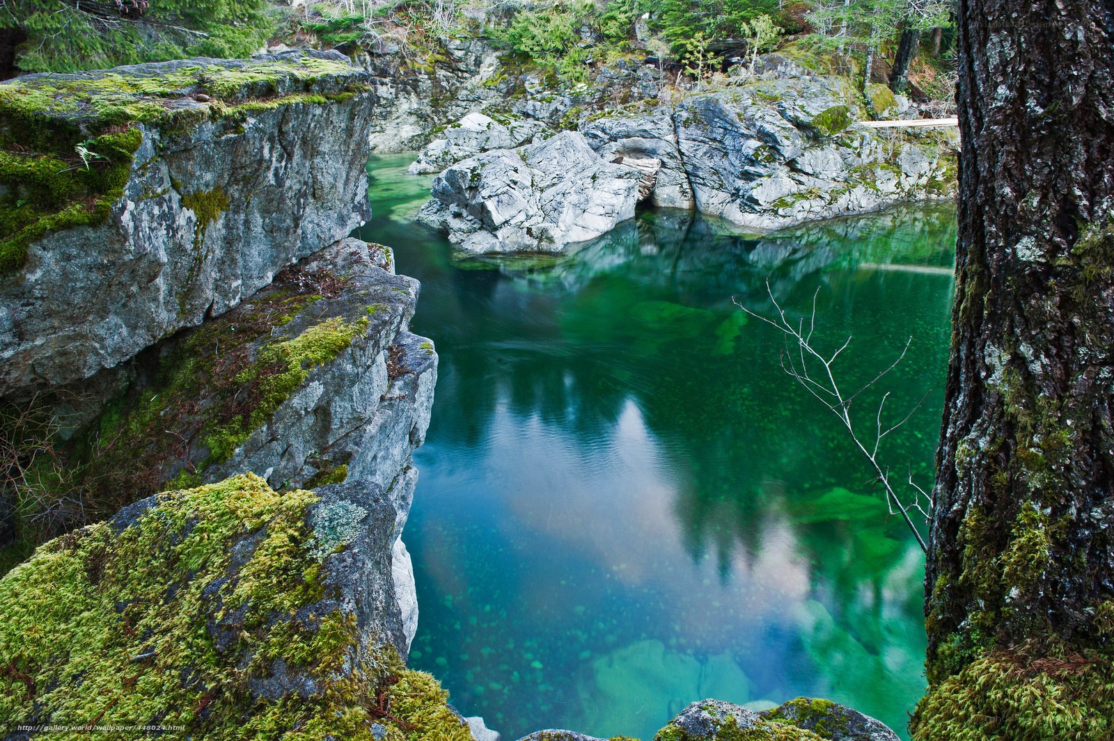 Mossy rocks and clear water