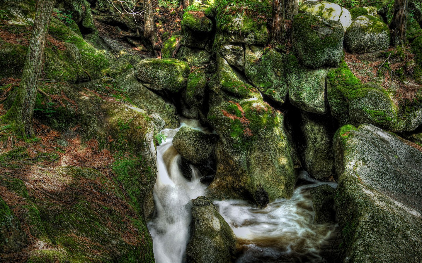 Mossy rocks and flowing stream