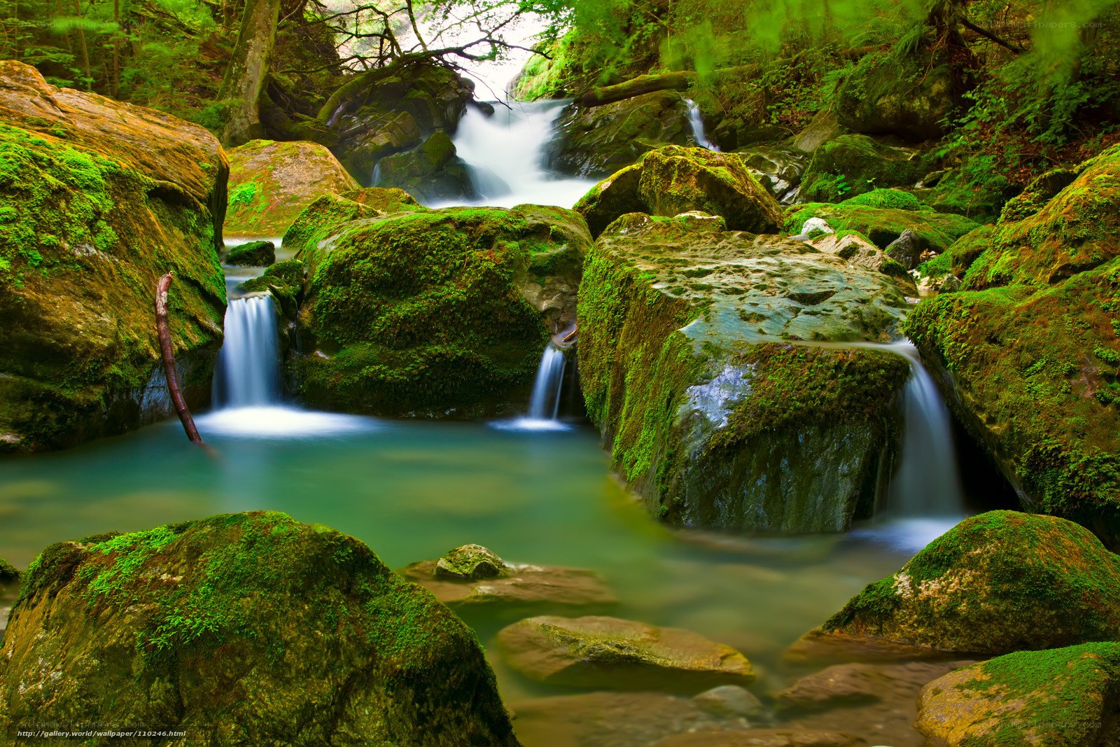 Mossy rocks and forest waterfall