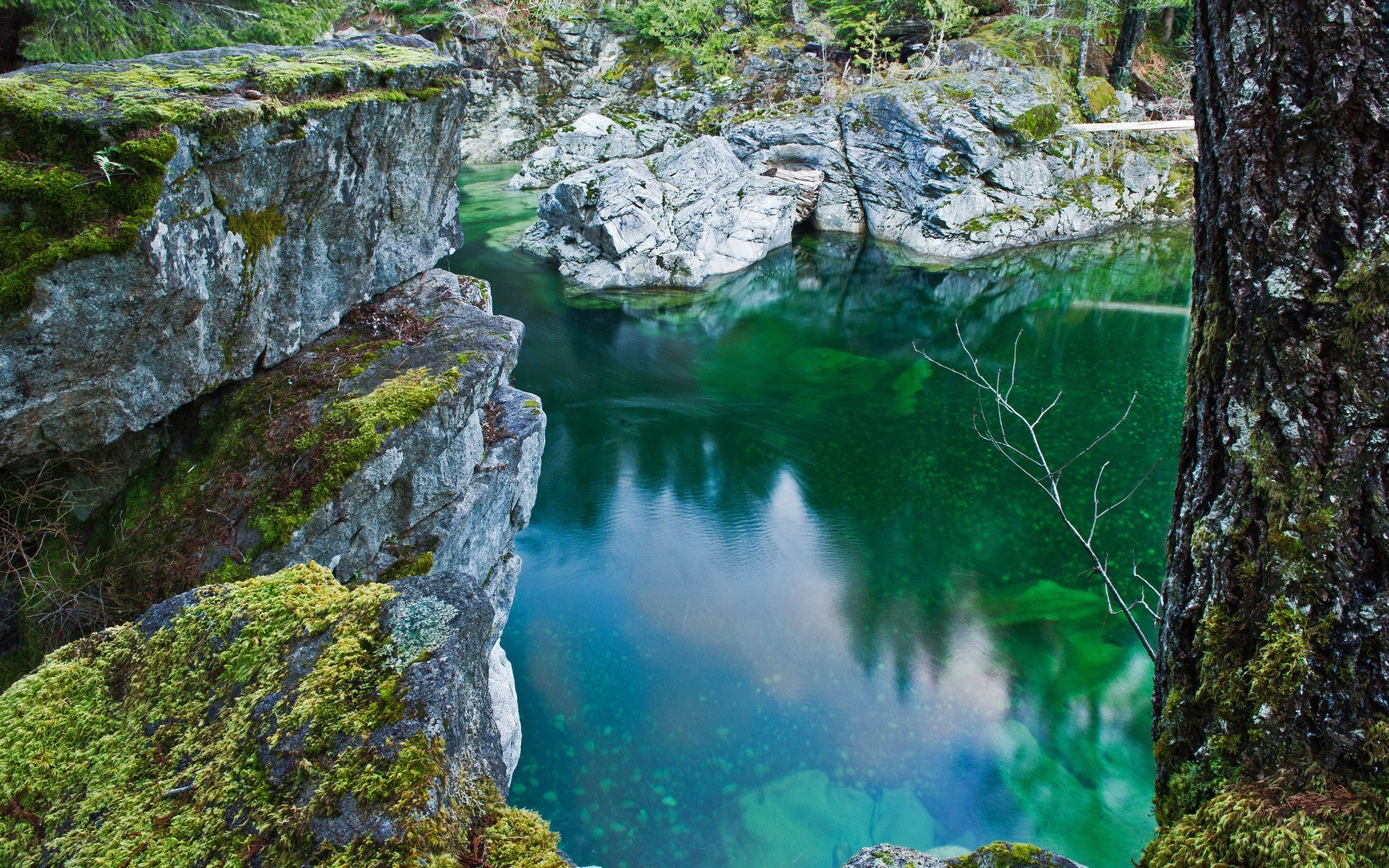 Mossy rocks and green pool