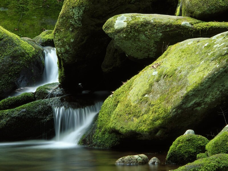 Mossy rocks and waterfall