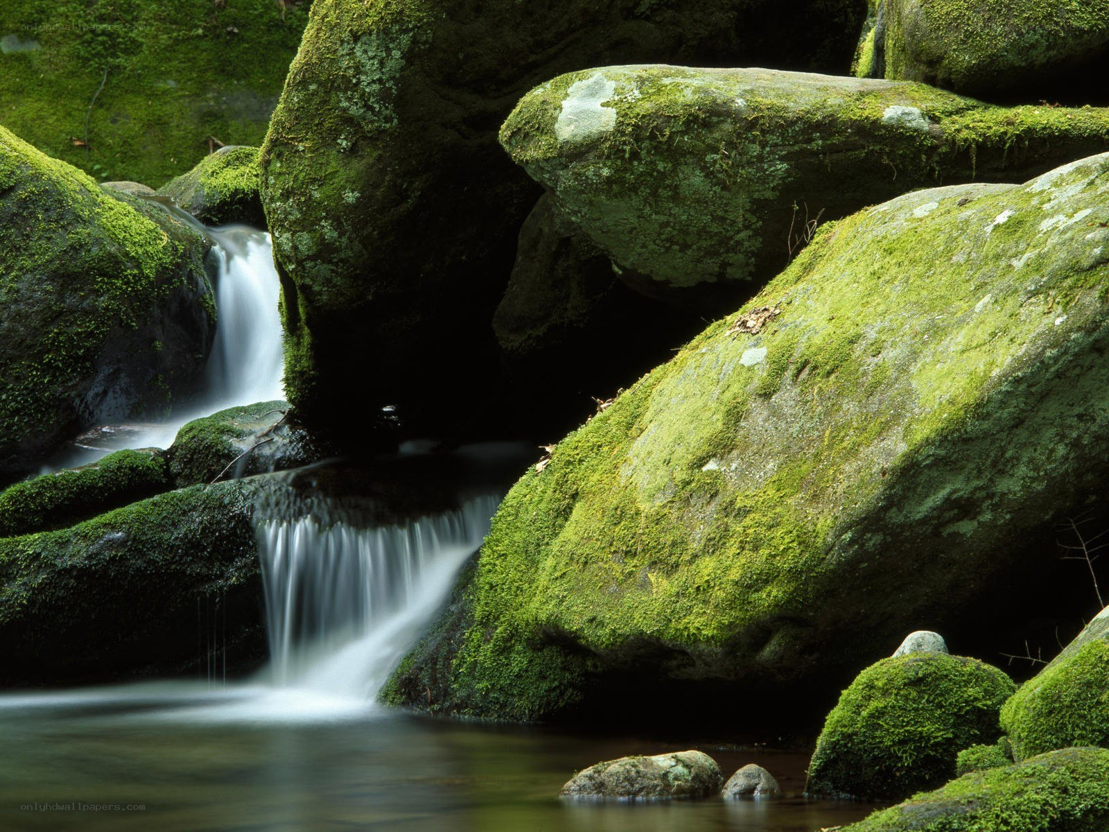 Mossy rocks and waterfall