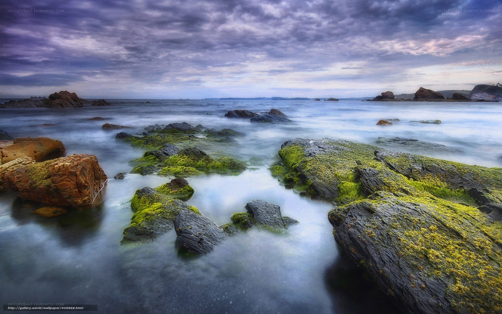 Mossy rocks at coastal tide