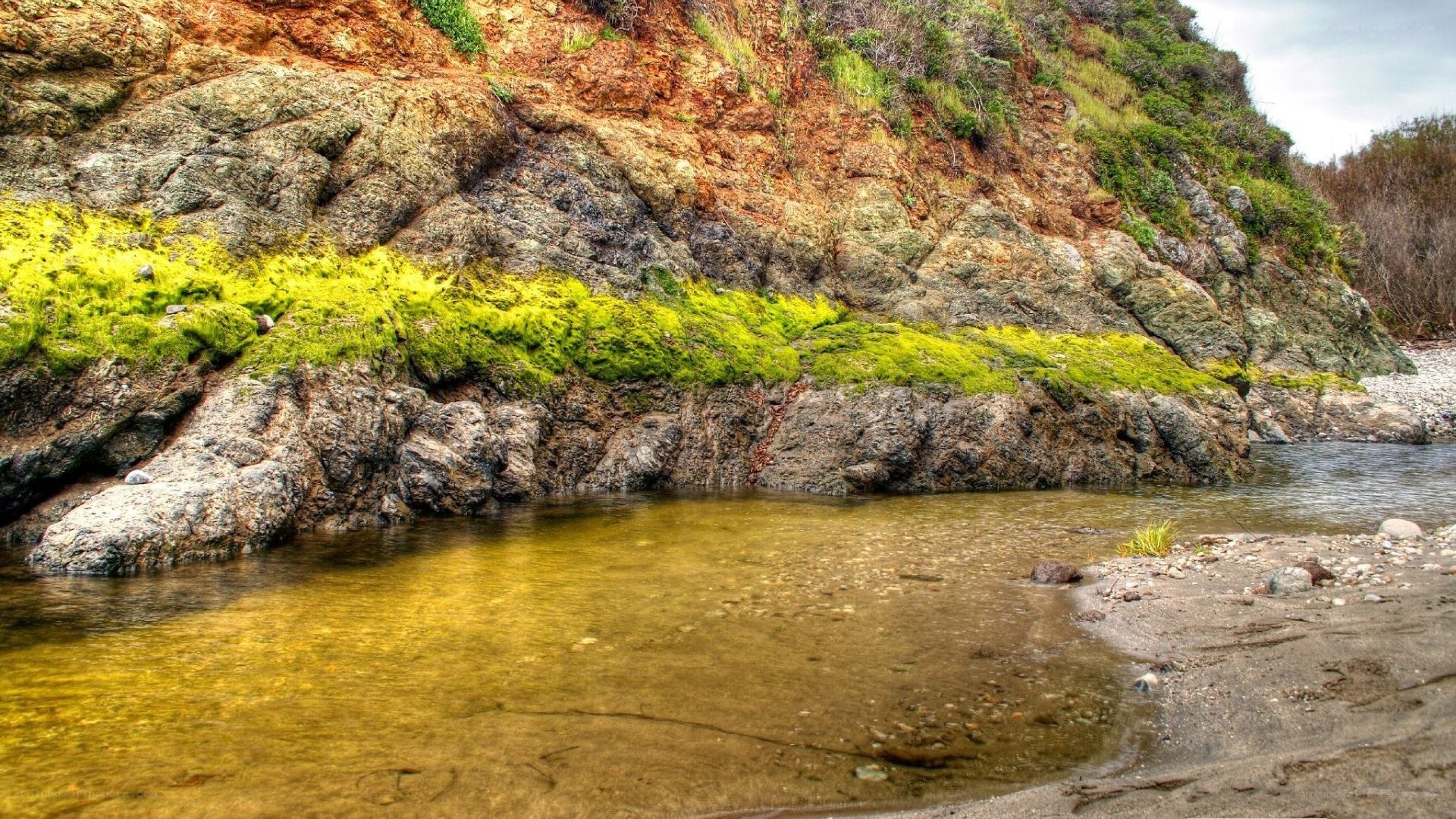 Mossy rocks at riverbank