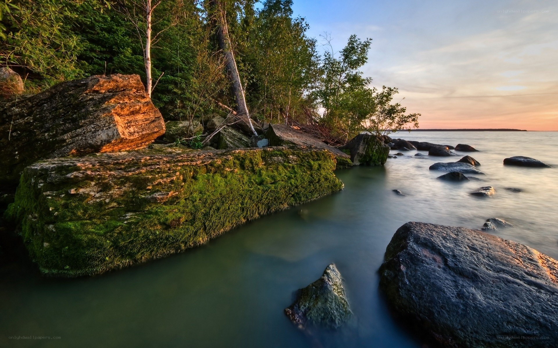Mossy rocks at sunset