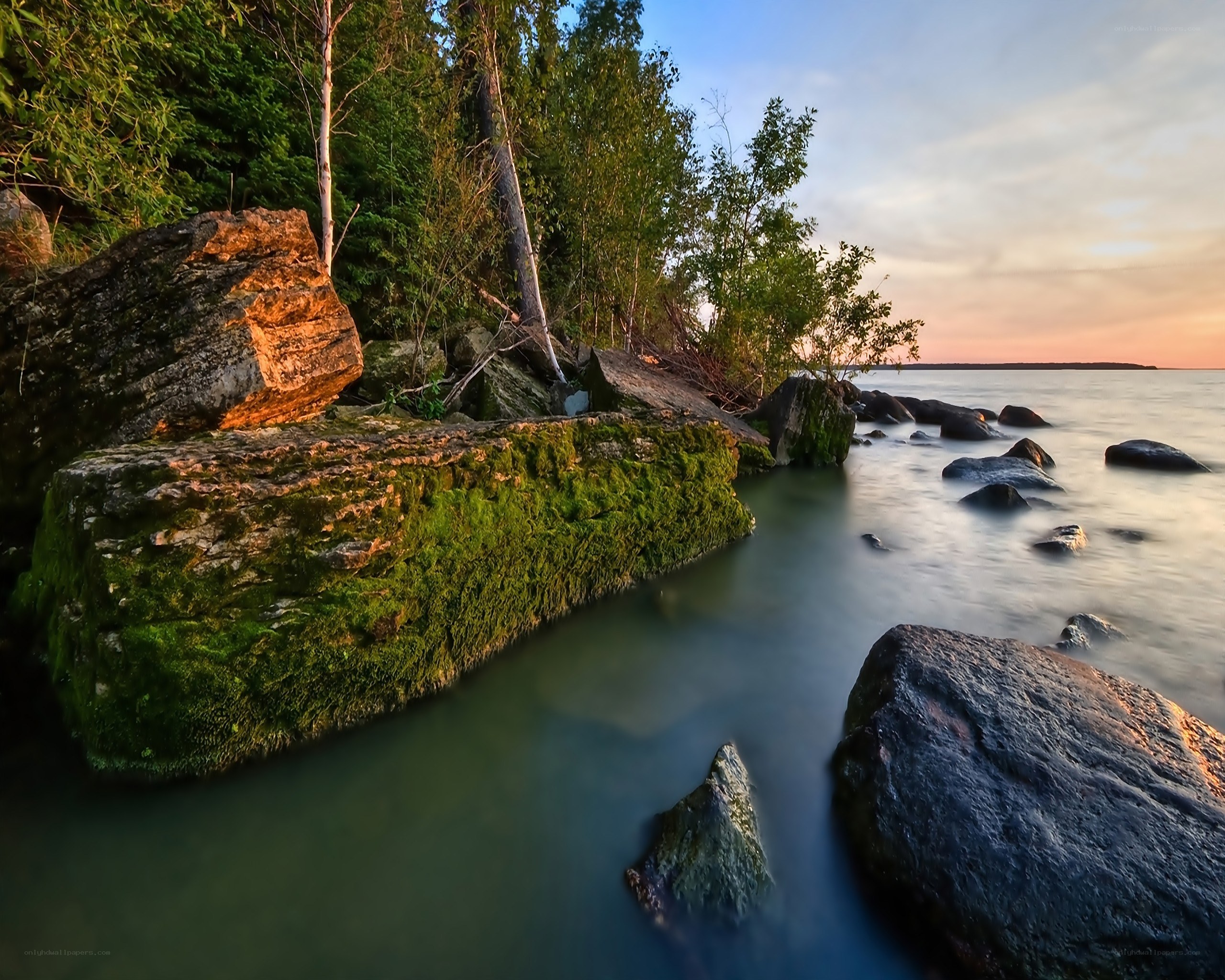 Mossy rocks at sunset