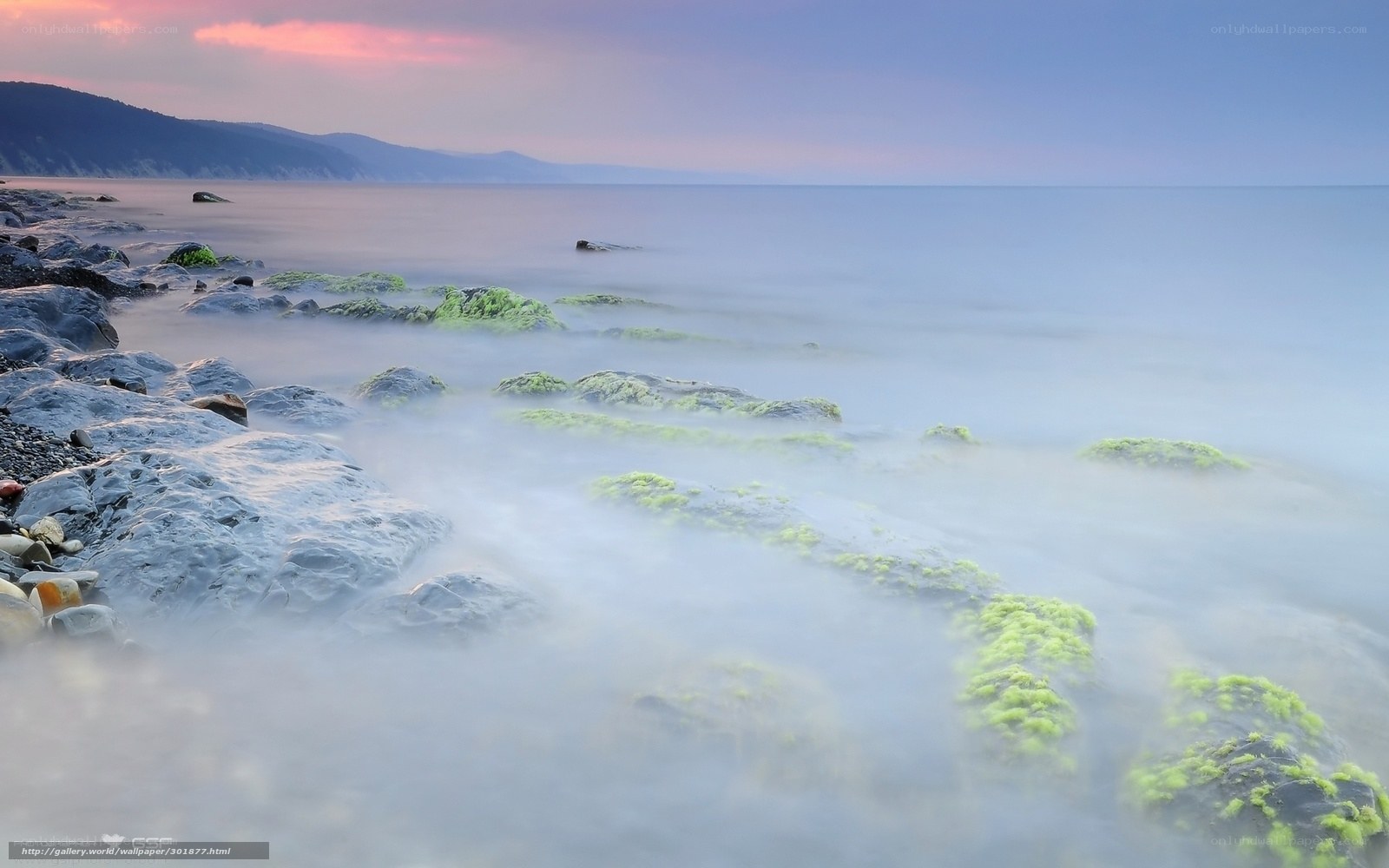 Mossy rocks at sunset