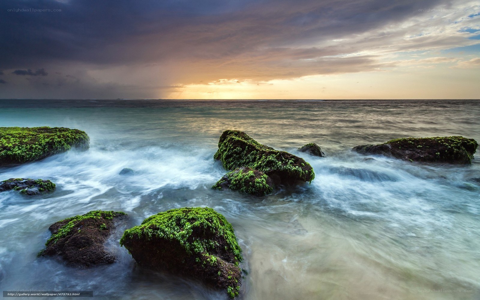 Mossy rocks at sunset