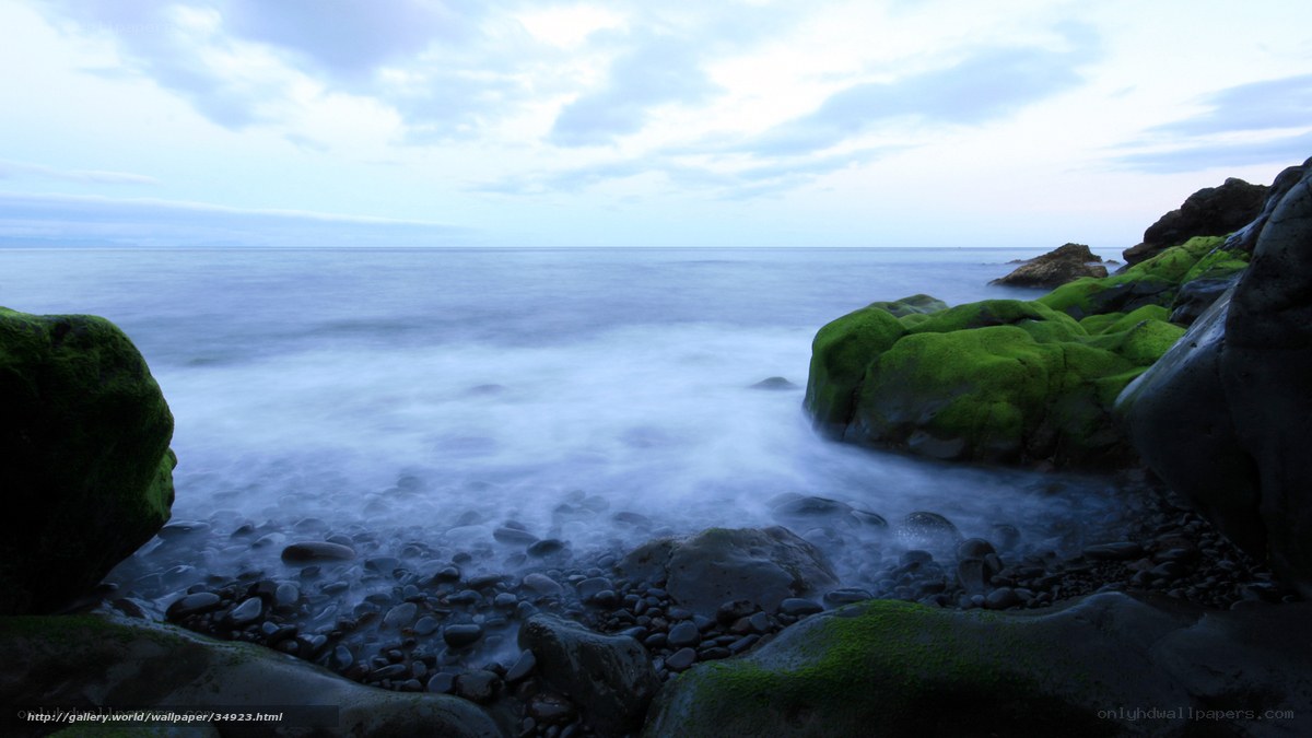 Mossy rocks at the seashore