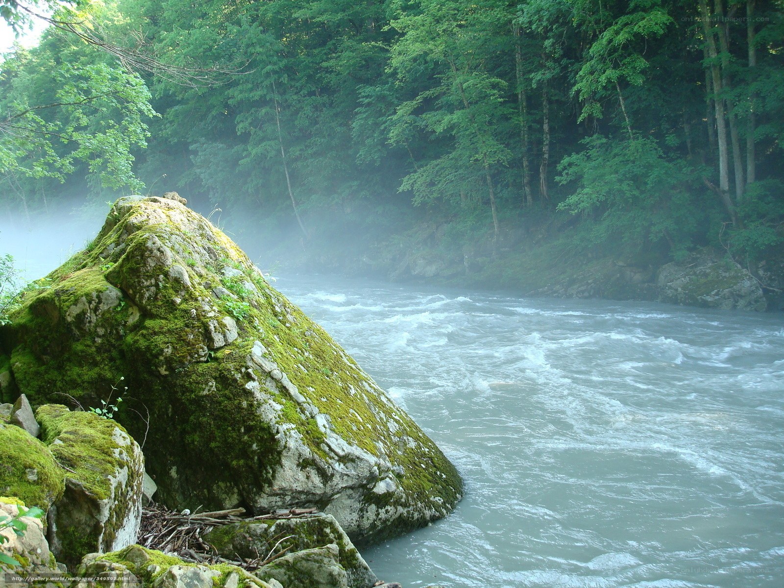 Mossy rocks by a misty river