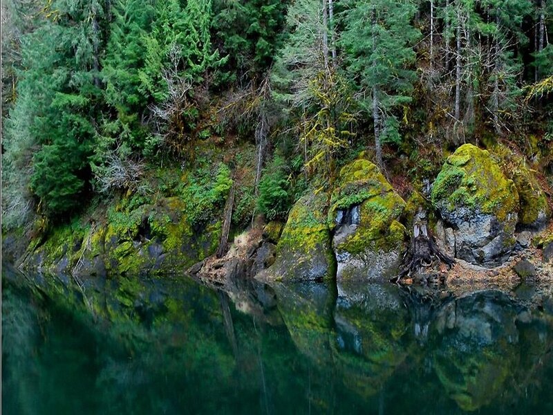 mossy rocks by forest lake