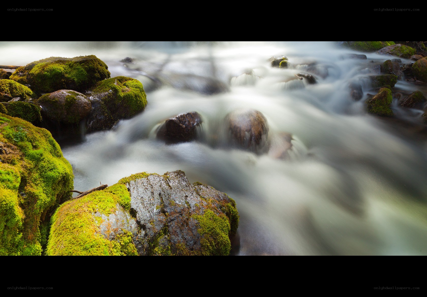 Mossy rocks in a flowing stream