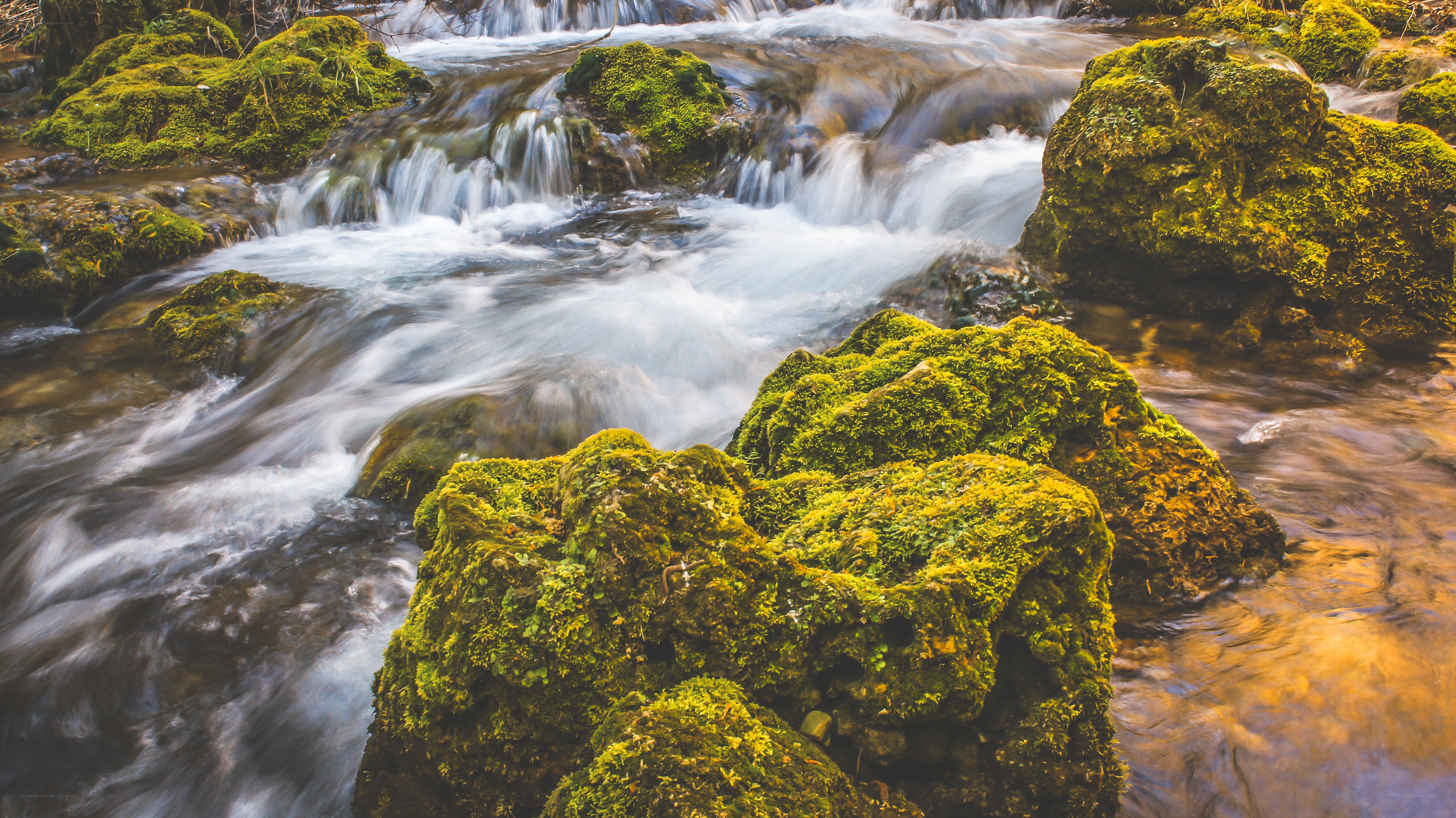 Mossy rocks in a flowing stream