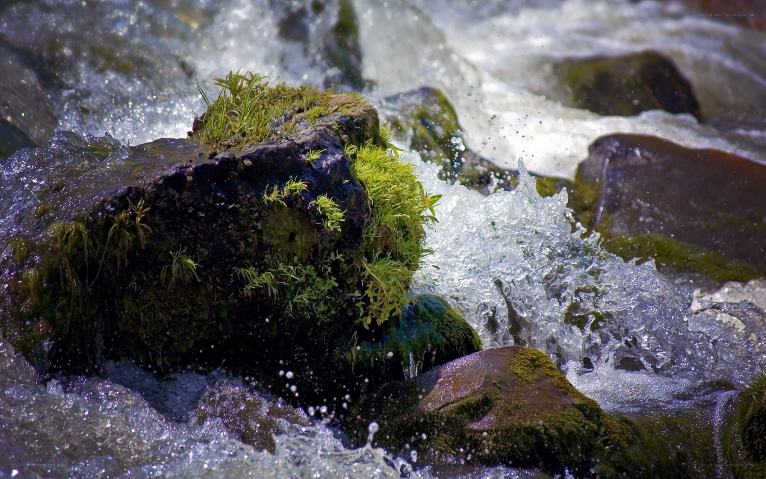 Mossy rocks in a rushing stream