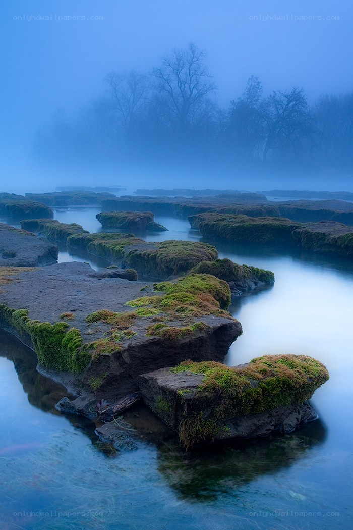 Mossy rocks in misty river