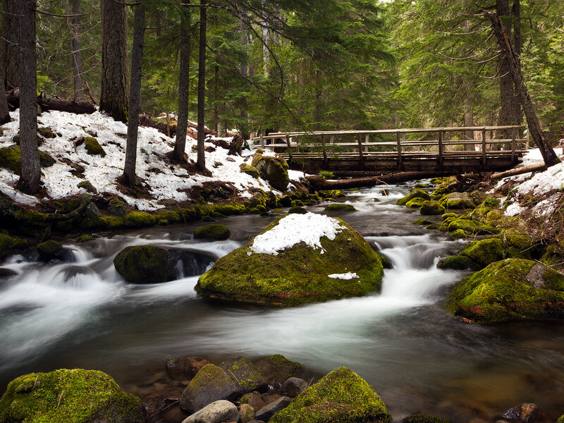 Mossy Rocks in Stream — Green, Serene