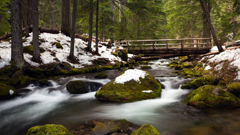 Mossy Rocks in Stream — Green