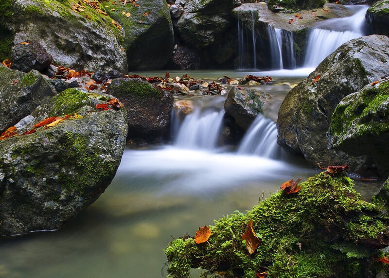 Mossy Rocks in Stream