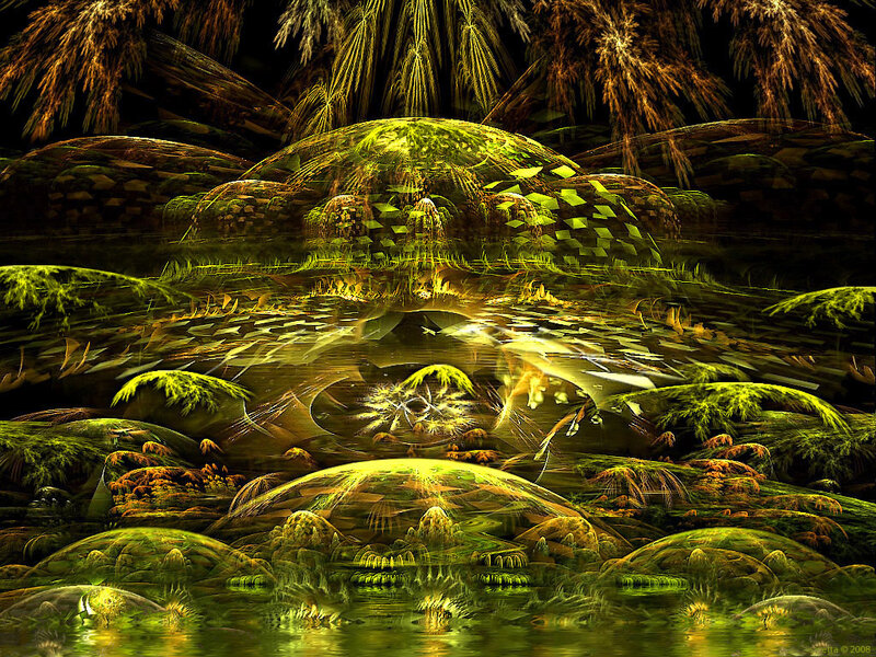 Mossy Rocks in Water