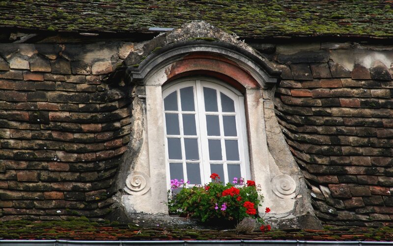 Mossy Roof Window
