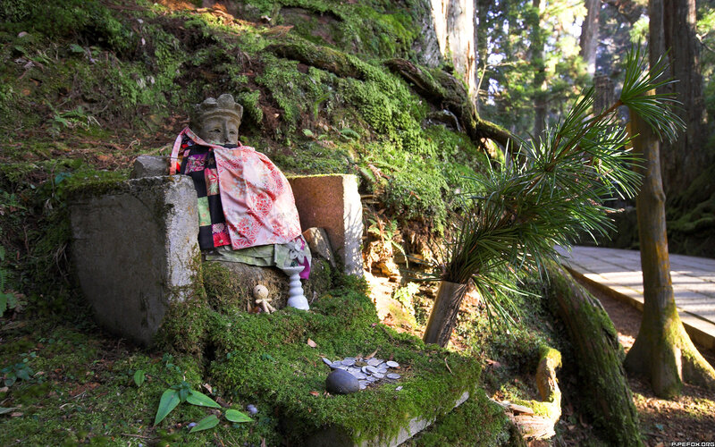 Mossy shrine in forest