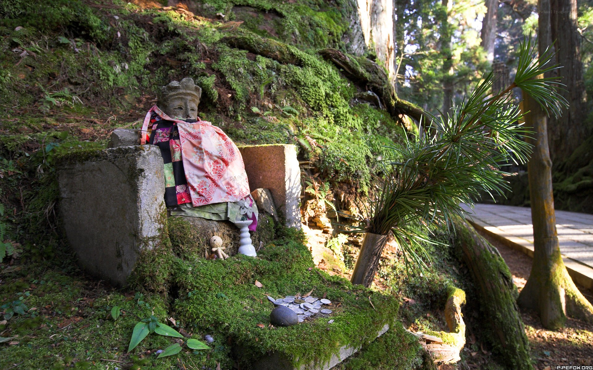 Mossy shrine in forest