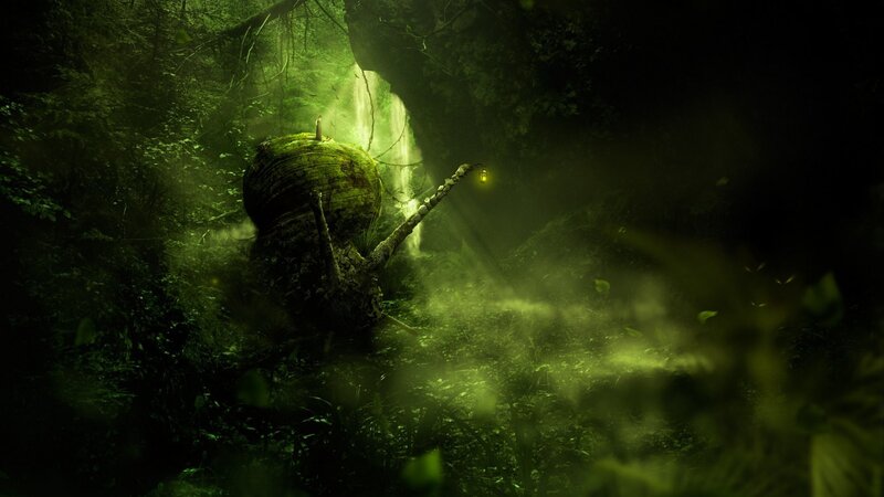 mossy snail in a forest