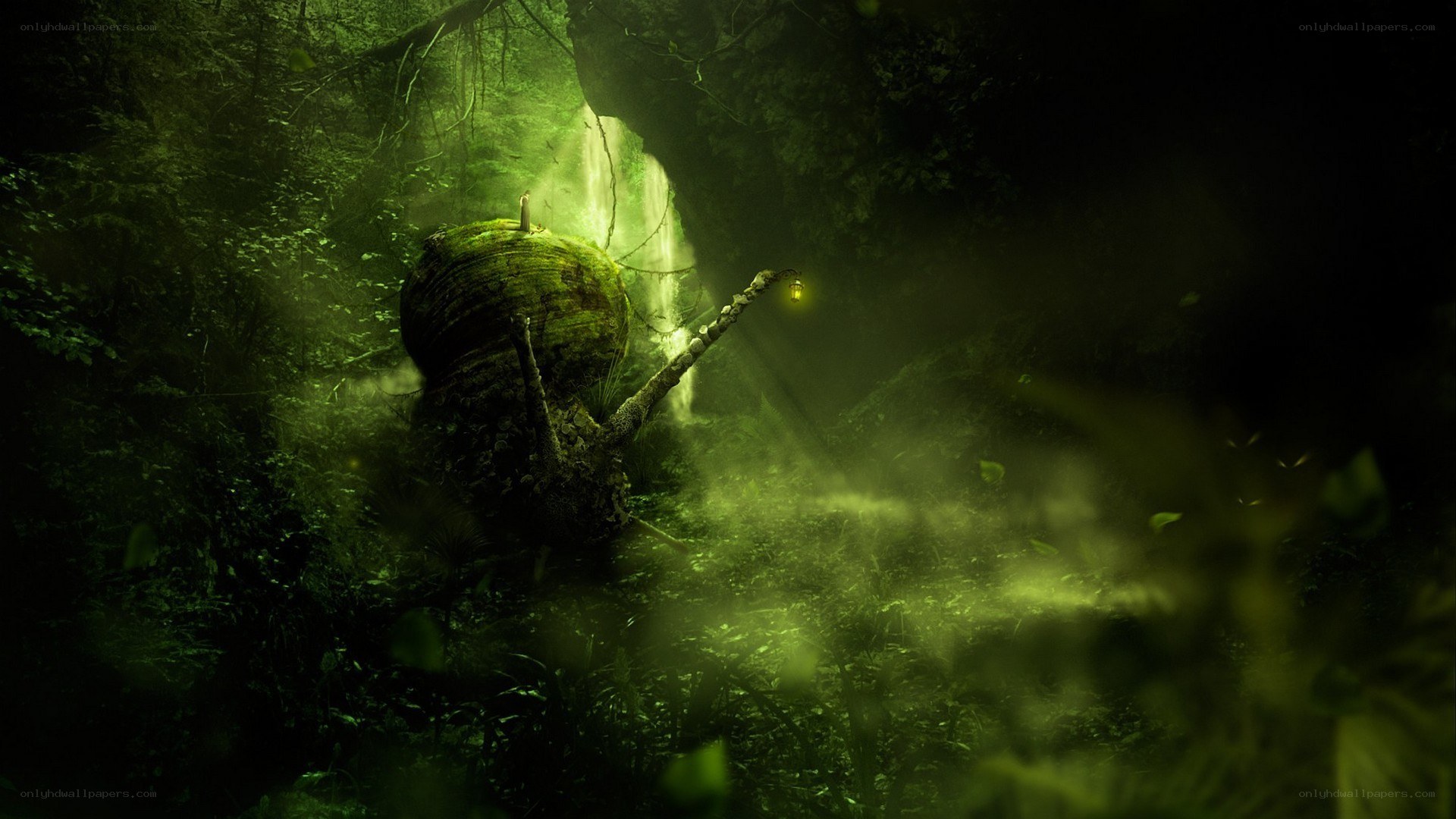 mossy snail in a forest