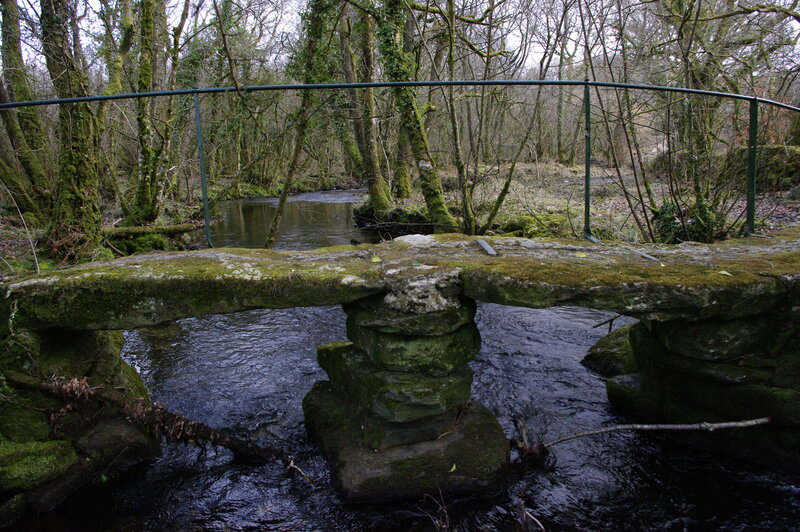 Mossy stone bridge over stream