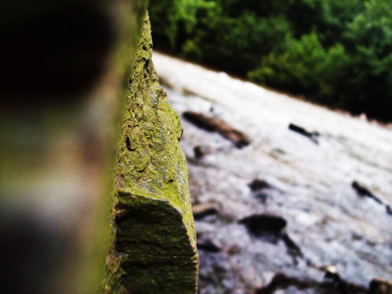 mossy stone by a stream