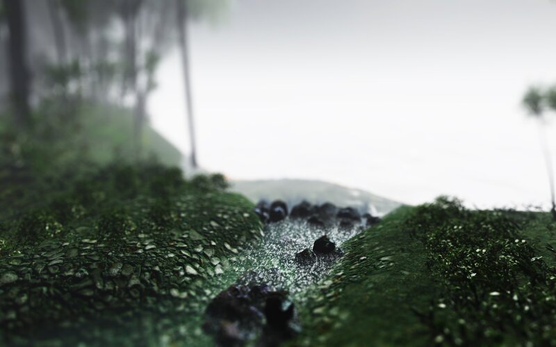 Mossy Stream in Forest — Green, Misty