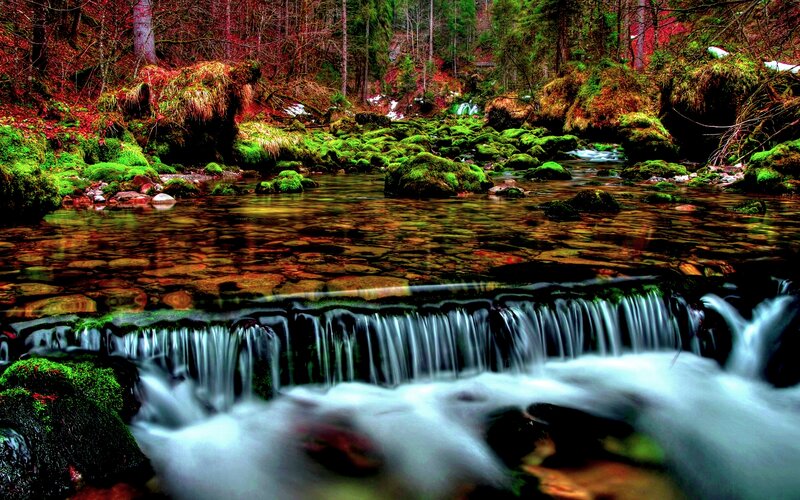 Mossy Stream in Forest — Green, Serene, Autumn