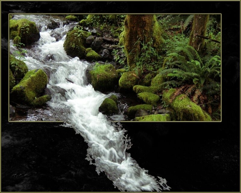 Mossy Stream in Forest — Green, Serene, Photograph, Rocks, Moss