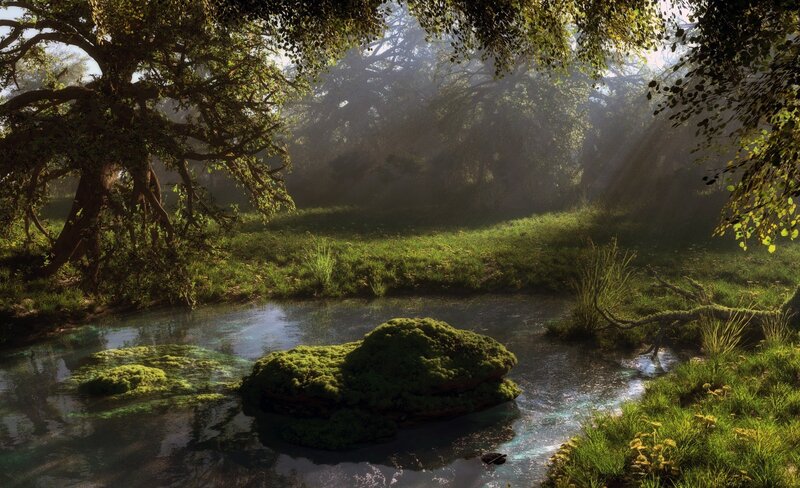 Mossy stream in sunlit forest