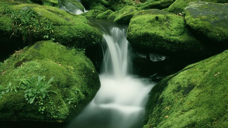 Mossy stream waterfall