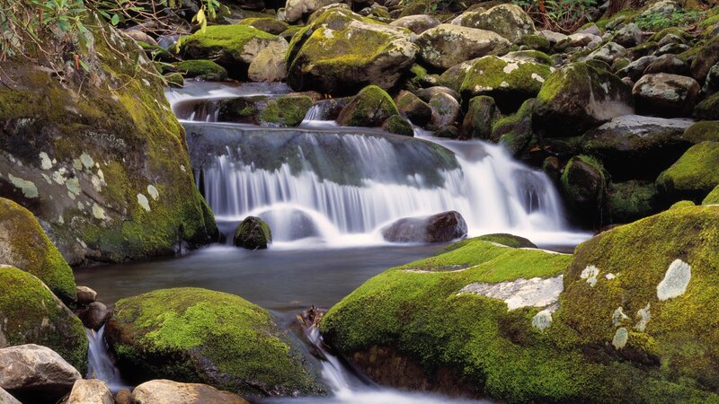 Mossy stream waterfall