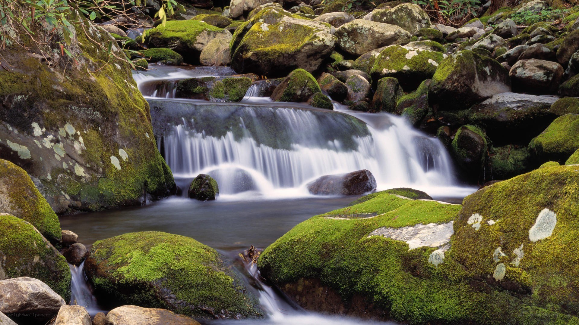 Mossy stream waterfall