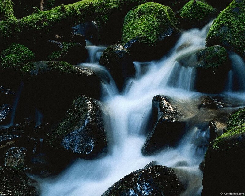 Mossy stream waterfall