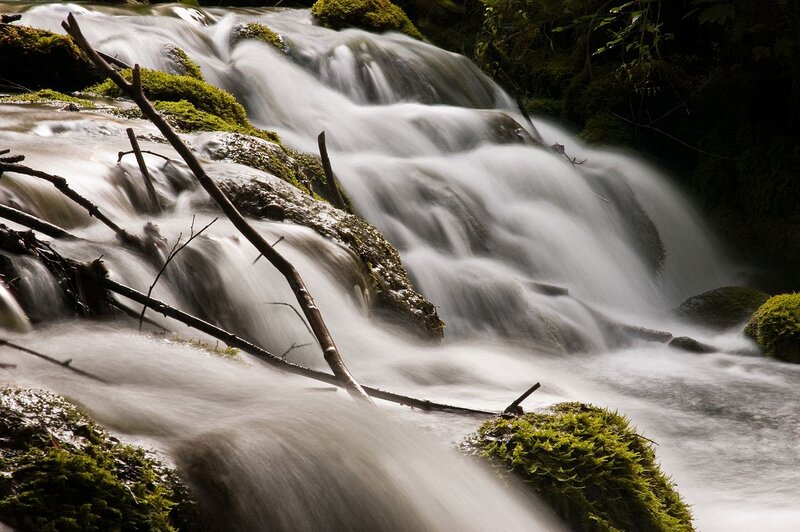 Mossy Stream Waterfall — Green