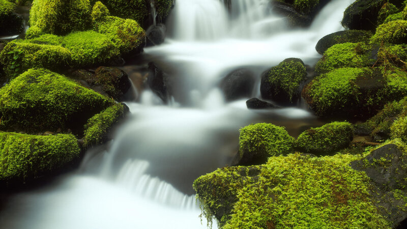 Mossy stream waterfall