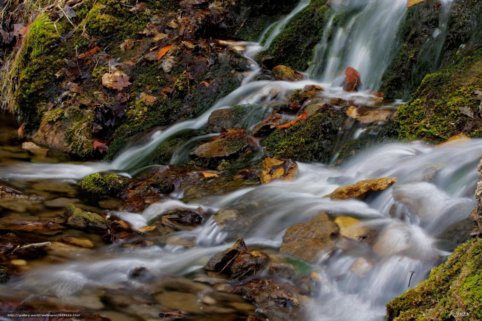 Mossy stream with flowing water