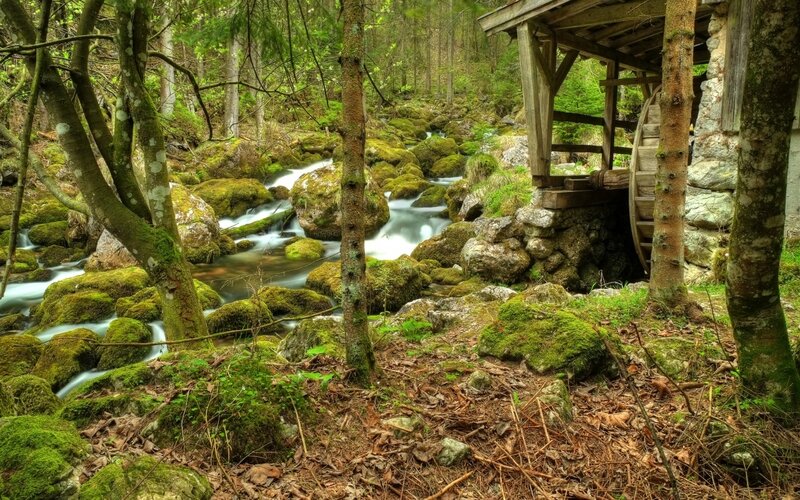 Mossy Stream with Mill