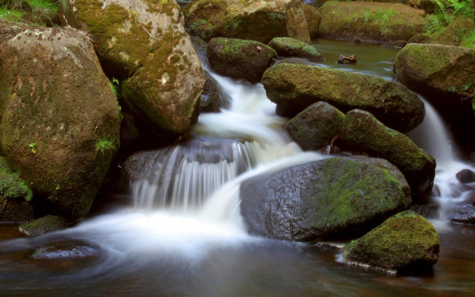 Mossy stream with small waterfall