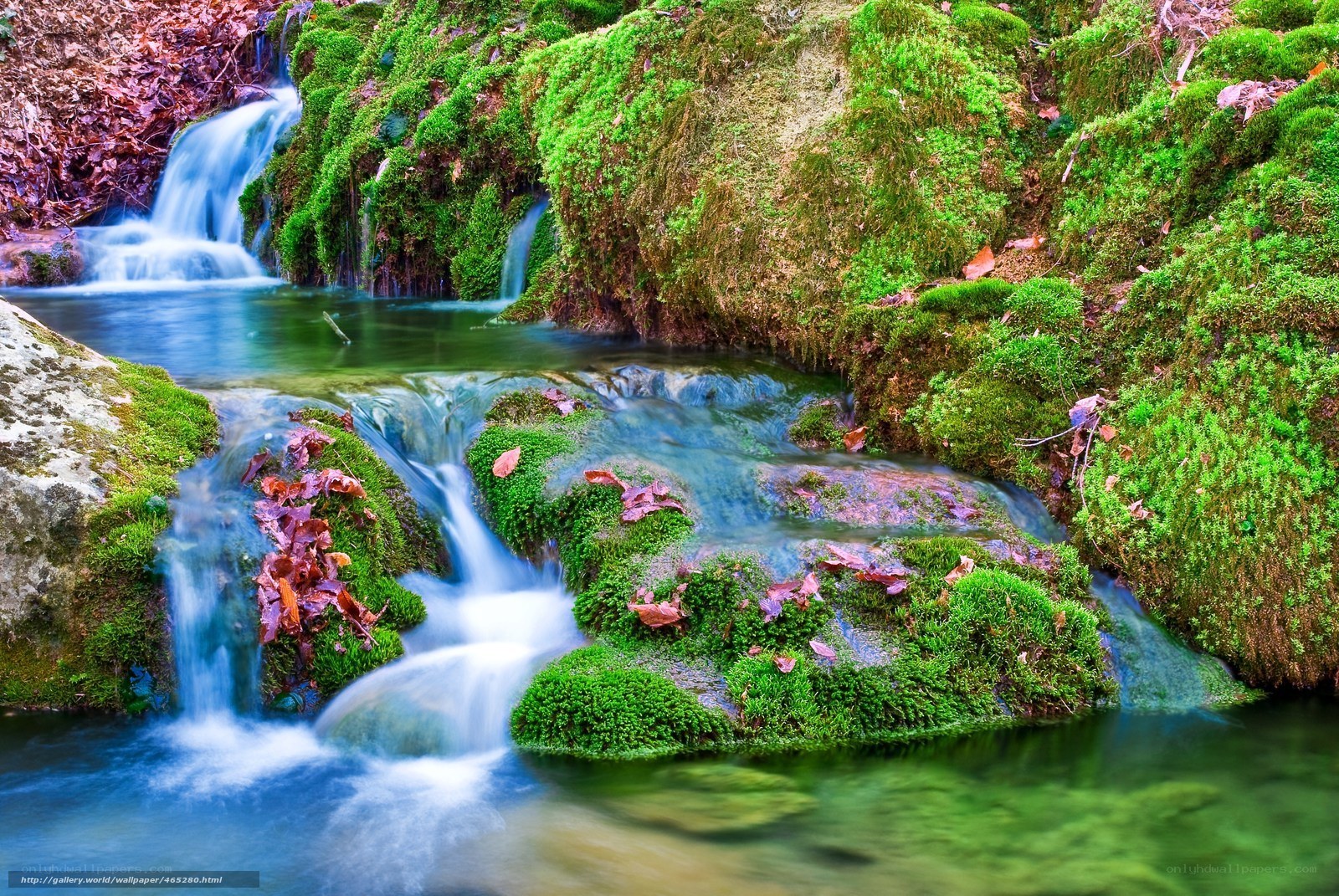 Mossy stream with small waterfalls