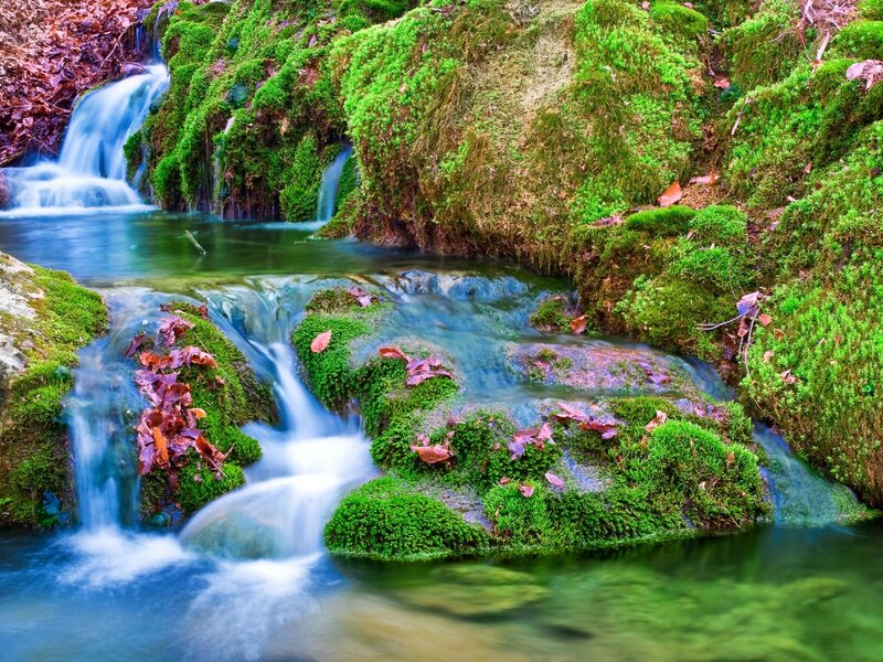 Mossy Stream with Waterfall — Green, Serene, Autumn