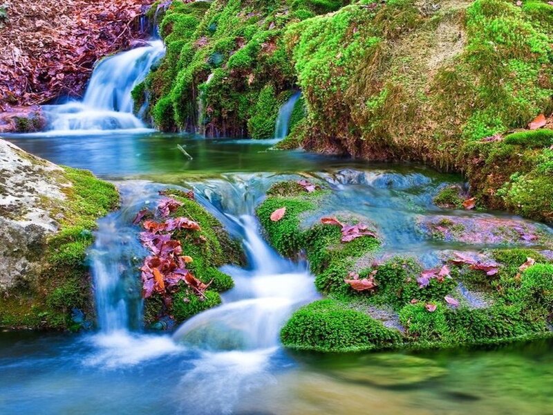 Mossy Stream with Waterfall — Green, Serene