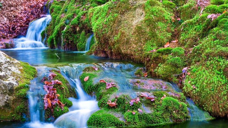 Mossy Stream with Waterfall — Green