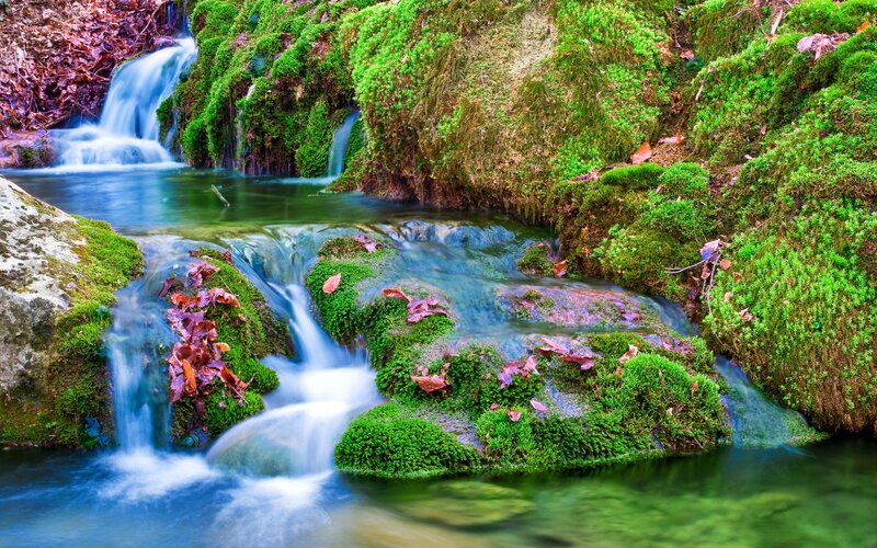 Mossy Stream with Waterfall