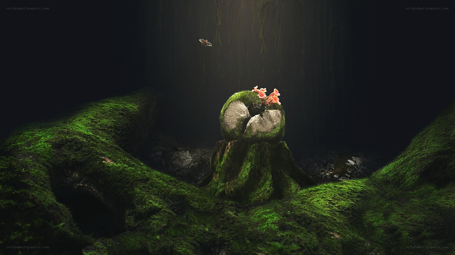 mossy stump with flowers