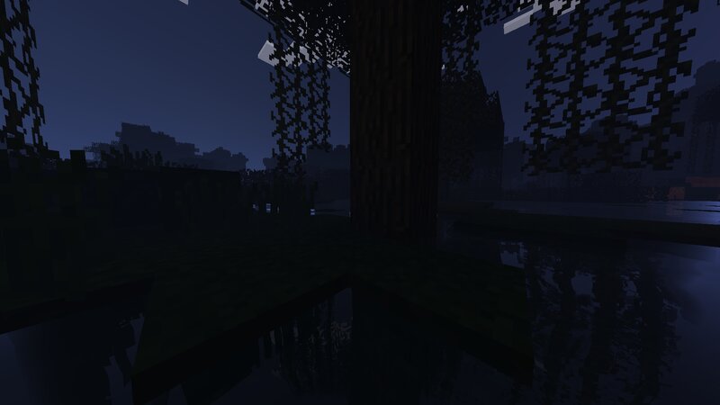 Mossy Swamp at Night